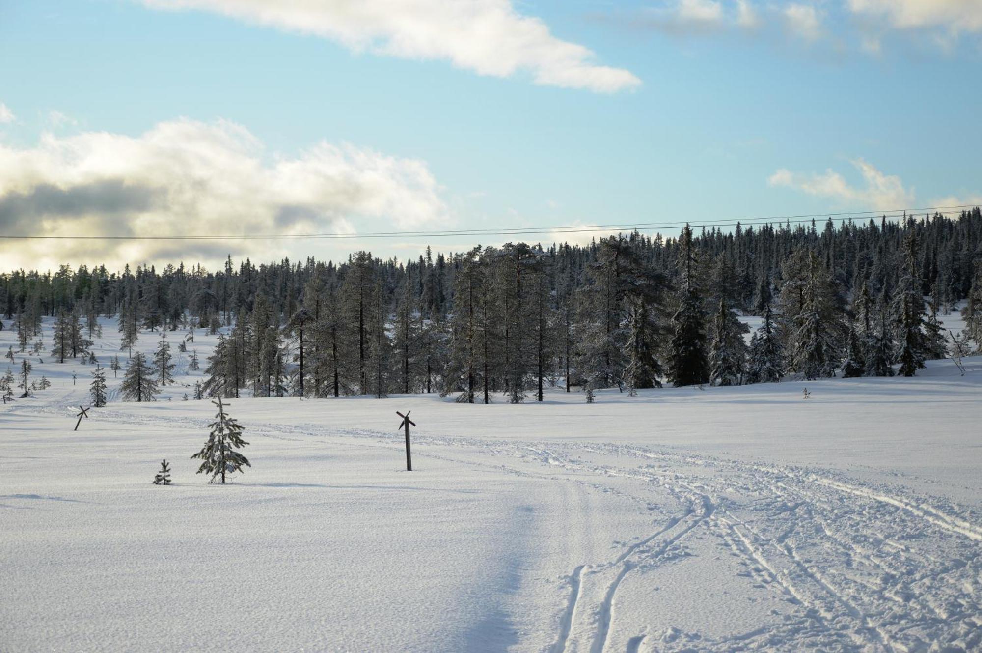 Hytte Anno 1721 Uten Internett, Strom, Vann - Men Med Rodmalt Utedo Ljørdal Exterior foto