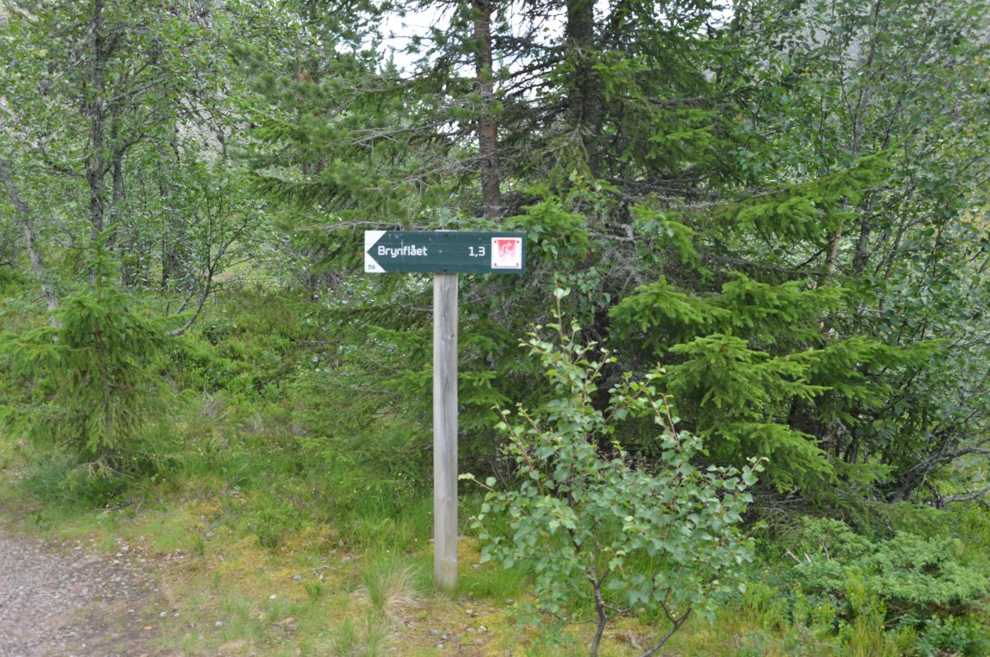 Hytte Anno 1721 Uten Internett, Strom, Vann - Men Med Rodmalt Utedo Ljørdal Exterior foto